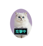 只今、取込中  ver1.2（個別スタンプ：37）