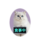 只今、取込中  ver1.2（個別スタンプ：38）