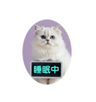 只今、取込中  ver1.2（個別スタンプ：40）