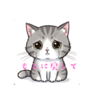 なみだ猫 ver1.2（個別スタンプ：6）