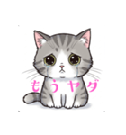 なみだ猫 ver1.2（個別スタンプ：8）