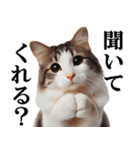 よく使う日常会話☆猫シンプル（個別スタンプ：7）