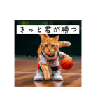 バスケ猫の勝負師 ver1.2（個別スタンプ：3）