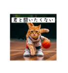 バスケ猫の勝負師 ver1.2（個別スタンプ：4）