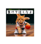 バスケ猫の勝負師 ver1.2（個別スタンプ：5）