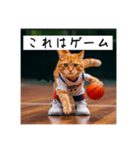 バスケ猫の勝負師 ver1.2（個別スタンプ：6）