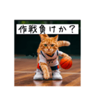 バスケ猫の勝負師 ver1.2（個別スタンプ：8）