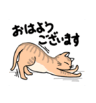 どこでもいそうな猫たち（個別スタンプ：2）