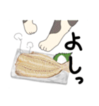 どこでもいそうな猫たち（個別スタンプ：5）