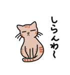 どこでもいそうな猫たち（個別スタンプ：7）