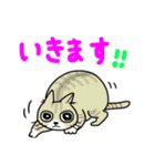 どこでもいそうな猫たち（個別スタンプ：8）