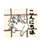 どこでもいそうな猫たち（個別スタンプ：9）