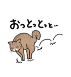 どこでもいそうな猫たち（個別スタンプ：11）