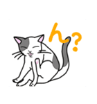 どこでもいそうな猫たち（個別スタンプ：12）