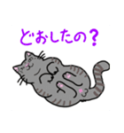どこでもいそうな猫たち（個別スタンプ：13）