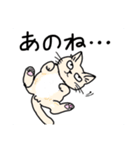 どこでもいそうな猫たち（個別スタンプ：16）