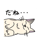 どこでもいそうな猫たち（個別スタンプ：18）