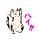 どこでもいそうな猫たち（個別スタンプ：20）