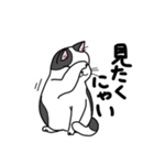 どこでもいそうな猫たち（個別スタンプ：22）
