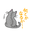どこでもいそうな猫たち（個別スタンプ：23）