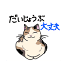 どこでもいそうな猫たち（個別スタンプ：24）