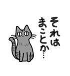 どこでもいそうな猫たち（個別スタンプ：25）