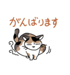 どこでもいそうな猫たち（個別スタンプ：26）