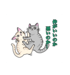 どこでもいそうな猫たち（個別スタンプ：27）