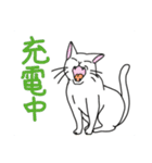 どこでもいそうな猫たち（個別スタンプ：37）