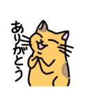 どこでもいそうな猫たち（個別スタンプ：40）