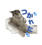 やる気ない3号（個別スタンプ：2）