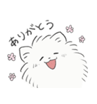 陽気なポメラニアン ホワイト（個別スタンプ：37）