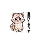 【ゆる敬語】テキトーに敬語を使うねこ（個別スタンプ：3）