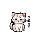 【ゆる敬語】テキトーに敬語を使うねこ（個別スタンプ：4）