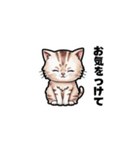 【ゆる敬語】テキトーに敬語を使うねこ（個別スタンプ：5）