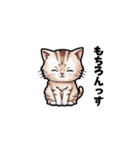 【ゆる敬語】テキトーに敬語を使うねこ（個別スタンプ：8）