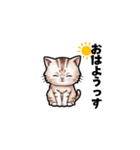 【ゆる敬語】テキトーに敬語を使うねこ（個別スタンプ：23）