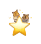 ゴルハムきんりん（個別スタンプ：8）