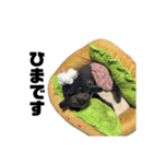 毎日使えるルイくん（個別スタンプ：2）
