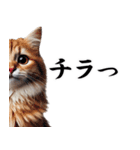 日常会話☆喜怒哀楽☆面白いネコ（個別スタンプ：4）