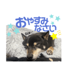 ちくわくんの敬語スタンプ（個別スタンプ：4）