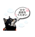 ちくわくんの敬語スタンプ（個別スタンプ：10）