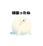 太ったアザラシの日常会話（個別スタンプ：24）