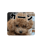 あむ五郎の日常（個別スタンプ：2）