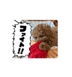 あむ五郎の日常（個別スタンプ：4）