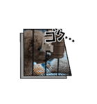あむ五郎の日常（個別スタンプ：5）
