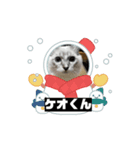 ベルケオ Part1（個別スタンプ：1）