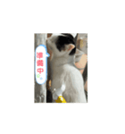 らぶの動くスタンプ（個別スタンプ：7）