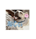 とうふさんA（個別スタンプ：7）