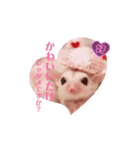 ゆるかわのモモミルクふくろももんが帰宅部（個別スタンプ：9）